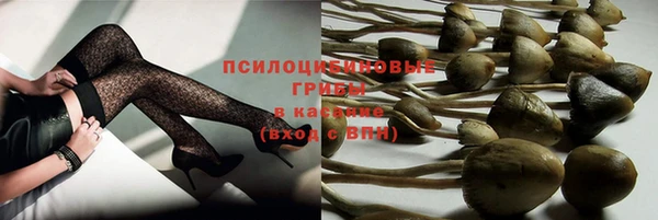 мдпв Балабаново