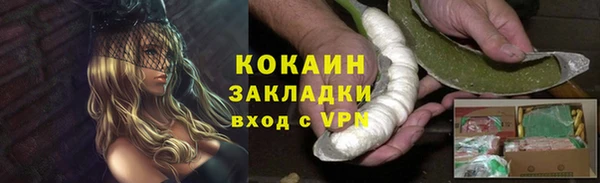 хмурый Белокуриха