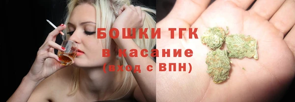 хмурый Белокуриха