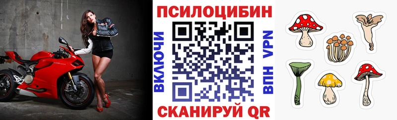 ссылка на мегу ONION  Ногинск  Галлюциногенные грибы MAGIC MUSHROOMS 